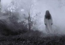 Con los pelos de punta queda un grupo de amigos, les apareció «La Llorona» Sacaron a pasear al perro y se les apareció "La Llorona"