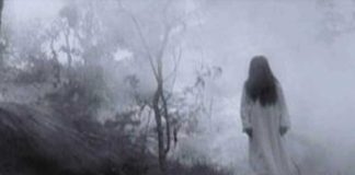 Sacaron a pasear al perro y se les apareció "La Llorona"