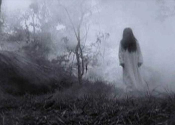 Sacaron a pasear al perro y se les apareció 