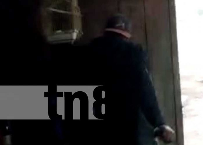 Foto: Imágenes del brutal asesinato ocurrido en Jinotega / TN8