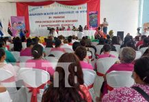 Foto: Graduación para el fortalecimiento económico en Managua / TN8