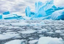 Hielo marino de la Antártida alcanzó mínimos históricos