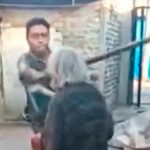 ¡Imágenes sensibles! Joven le pegó un «garrotazo» a su abuelita en México ¡Imágenes sensibles! Joven le pegó un "garrotazo" a su abuelita en México