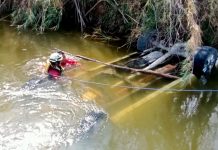 Hallan 14 cuerpos de migrantes en estado de putrefacción en México Hallan 14 cuerpos de migrantes en estado de putrefacción en México