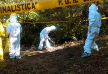 Hallan más de 30 cadáveres en dos fosas comunes en Jalisco, México Hallan más de 30 cadáveres en dos fosas comunes en Jalisco, México