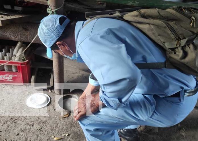 Foto: Jornada de abatización en barrios de Managua / TN8