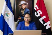 Autoridades de agricultura en reunión virtual con ministros del SICA