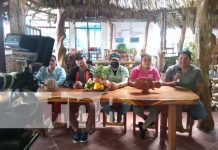 Conozca una de las rutas turísticas más bellas de Ometepe Foto: Ruta turística en la Isla de Ometepe / TN8