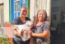 Paquetes alimenticios para madres de héroes y mártires en Managua Foto: Entrega de paquetes alimenticios en Managua / TN8
