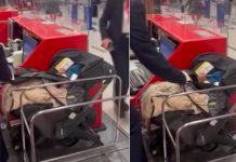 «Sin remordimiento» Pareja abandona a su bebé en un aeropuerto de Bélgica Pareja abandonó a su bebé en un aeropuerto de Bélgica