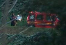 ¡Macabro! Hallan en un parque de París el cuerpo descuartizado de una mujer ¡Macabro! Hallan en un parque de París el cuerpo descuartizado de una mujer