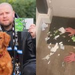 «Firulais» despedaza entradas del partido y el dueño molesto lo puso en venta Puso su perro a la venta luego de que se comiera sus entradas