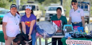 Nicaragua realiza festivales de mascotas en varios departamentos