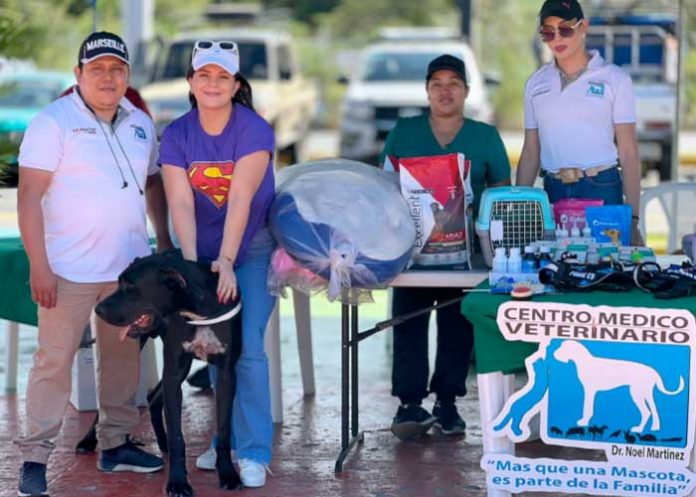 Nicaragua realiza festivales de mascotas en varios departamentos