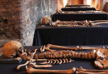 Evolución de las oleadas de la peste negra en la Escandinavia Medieval
