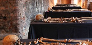 Evolución de las oleadas de la peste negra en la Escandinavia Medieval