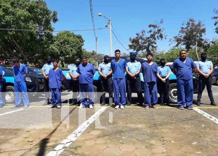 Foto: Varios delincuentes tras las rejas por trabajos policiales en Nicaragua / TN8