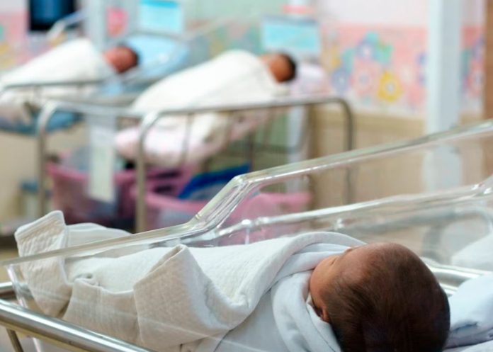 polonia2 Clase marimba de chavalos: Da a luz quintillizos en Polonia ¡ya tenía 7 hijos!