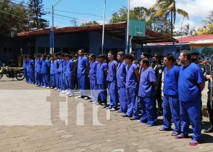 Foto: Captura de delincuentes gracias a la Policía en León, Carazo y Nueva Segovia / TN8