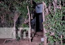 Managua: «El Bucky» es encontrado muerto dentro de su vivienda, policía investiga el caso El olor a putrefacción fue lo que alertó a pobladores del barrio Israel Galeano, en Managua, al darse cuenta de que algo andaba mal en la vivienda del señor Manuel Hernández.