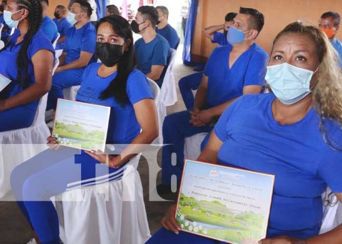 reo-esteli-2 Foto: Reos de Estelí aprenden con la Escuela de Valores / TN8