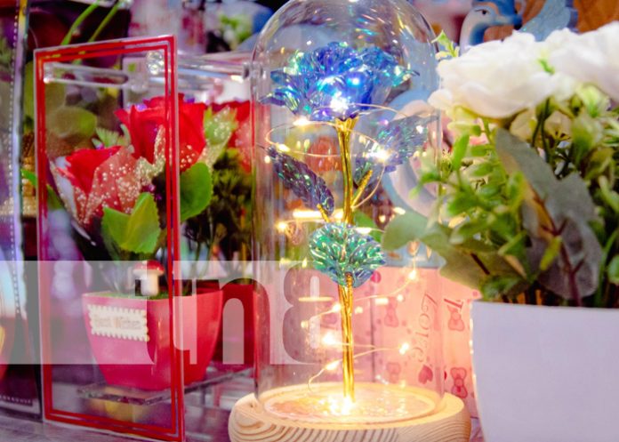 rosa El mejor regalo para el 14 de febrero lo encontrás en el Iván Montenegro