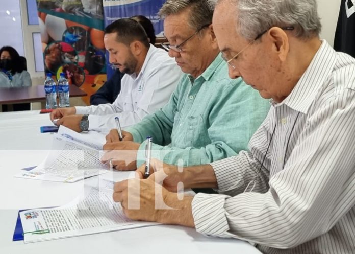 salud Intensifican vigilancia para evitar casos de influenza aviar en Nicaragua