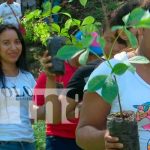 “Verde, que te quiero verde” tiene el 91% de avance en Nicaragua