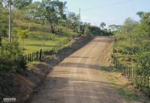 Rehabilitan 10 kilómetros de camino en Sauni Bas, Siuna Foto: Rehabilitación de caminos en Sauni Bas, Siuna