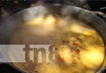 «De muerte lenta», así de sabrosa catalogan la sopa de queso en Masaya Foto: Sopa de queso, una delicia para probar en Masaya / TN8
