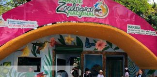 Inclusión y restitución de derechos para los niños del hogar “Pajarito Azul”