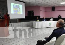UCN anuncia primer diplomado en seguridad vial “Matriculas abiertas” UCN anuncia primer diplomado en seguridad vial “Matriculas abiertas”