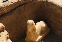 Científicos en Egipto descubren esfinge que podría representar a emperador romano