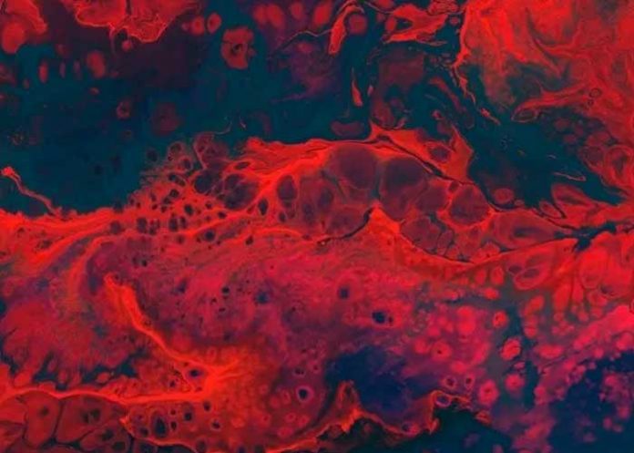 ¿La circulación sanguínea te afecta? Estas frutas te ayudarán a mejorarla