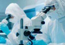 Científicos transforman células tumorales en armas contra el cáncer