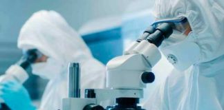 Científicos transforman células tumorales en armas contra el cáncer
