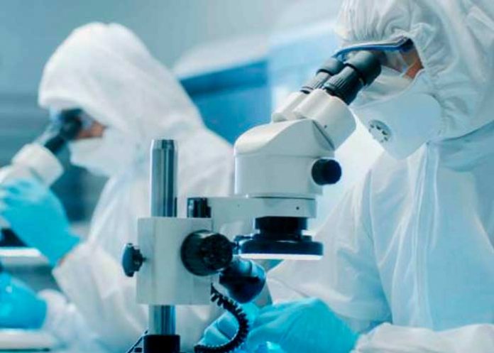 Científicos transforman células tumorales en armas contra el cáncer