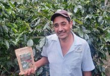 Gobierno de Nicaragua da acompañamiento a agricultores de café en Jinotega