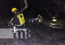 Quema de basura provoca incendio de maleza en un barrio de Somoto, en Madriz Foto: Quema de basura provoca incendio de maleza en un barrio de Somoto, en Madriz / TN8