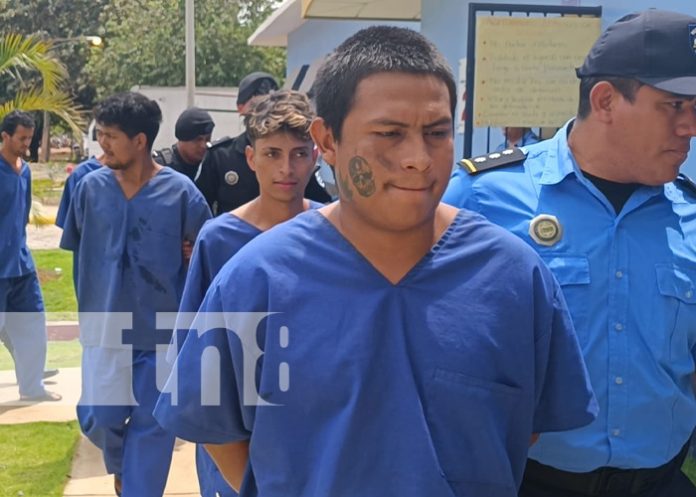 1 En Boaco, Nueva Segovia y León, Policía Nacional detiene a delincuentes