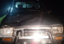 Semoviente provoca fuerte accidente de tránsito en Jalapa