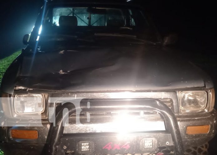 Semoviente provoca fuerte accidente de tránsito en Jalapa
