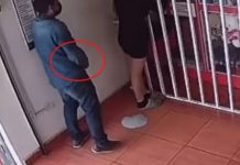 Graban a degenerado que se «estimula» detrás de una joven Graban a degenerado que se "estimula" detrás de una mujer