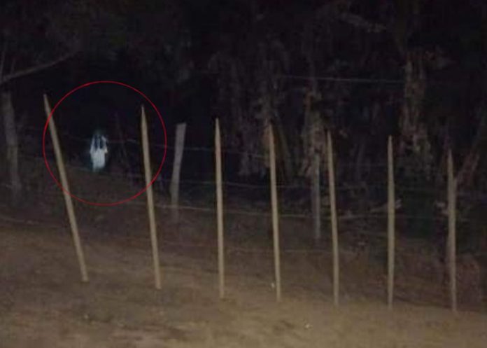 Ciudadanos difunden aterrador video de la “mujer de blanco” en El Salvador