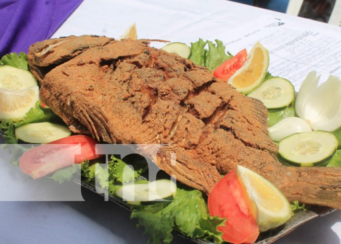 1 Ocotal está listo para el Festival Departamental de Sabores de Cuaresma 2023
