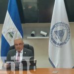 Producción agropecuaria de Nicaragua en constante crecimiento Producción agropecuaria de Nicaragua en constante crecimiento