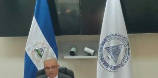 Producción agropecuaria de Nicaragua en constante crecimiento