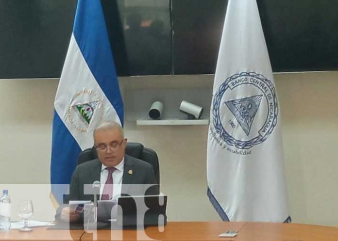 Producción agropecuaria de Nicaragua en constante crecimiento