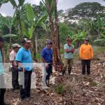INTA presentó implementación de nuevas técnicas de cultivos en Jinotega INTA presentó implementación de nuevas técnicas de cultivos en Jinotega