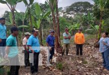 INTA presentó implementación de nuevas técnicas de cultivos en Jinotega INTA presentó implementación de nuevas técnicas de cultivos en Jinotega